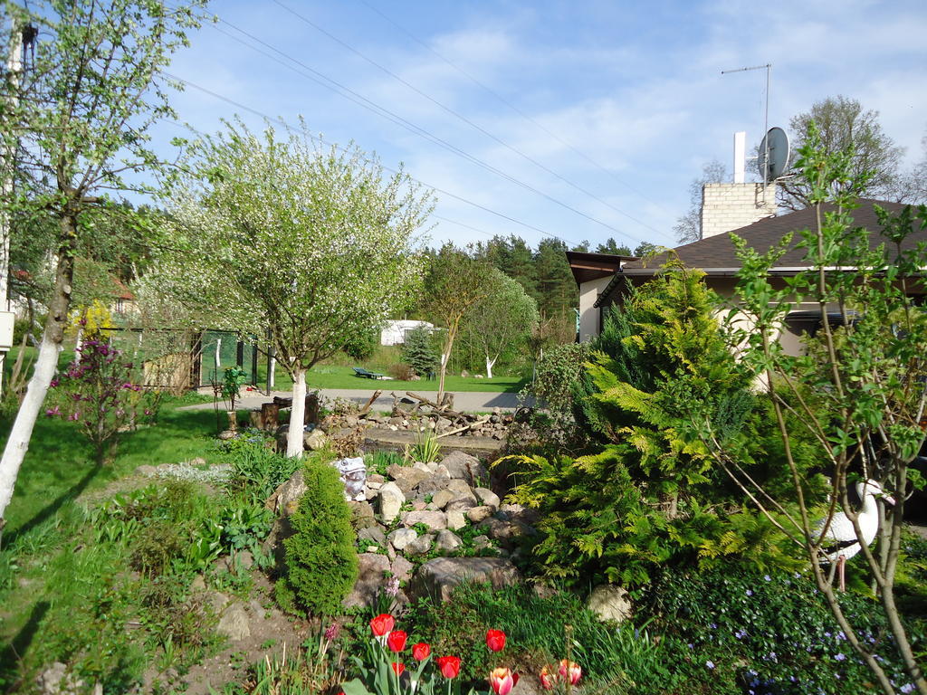 Homestay Roja Βίλνιους Εξωτερικό φωτογραφία